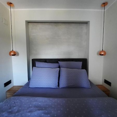 Apartment Pleasure Lux Novi Sad Buitenkant foto